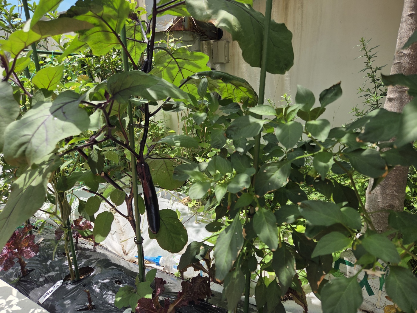 KakaoTalk_20260629_115219289_05.jpg